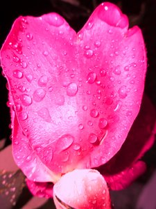 Gouttes de pluie - Martina Konitzky