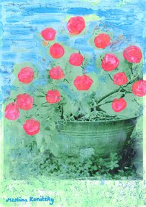 Rhododendron - Martina Konitzky