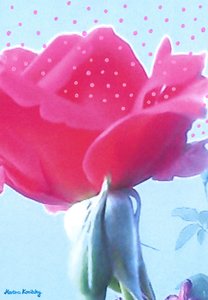 Rose rose - Martina Konitzky