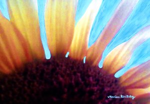 Tournesol et ciel d
