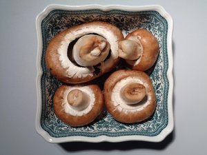 Villeroy und Boch Porzellan mit Pilzen - Martina Konitzky