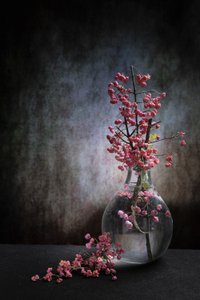  - Martine Benezech