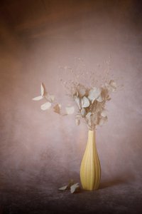  - Martine Benezech