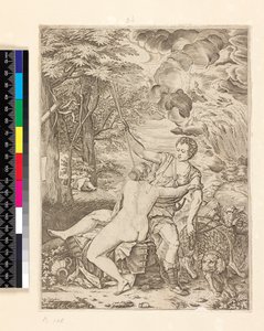 Vénus et Adonis, c.1560-c.1580 - Martino Rota