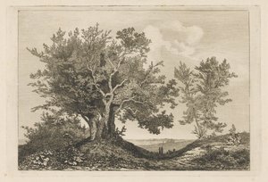 Chemin de campagne entre deux rangées d