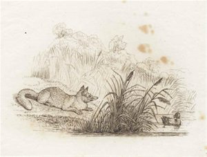 Illustration pour "Cinquante fables pour enfants" de Hey - Martinus Rørbye