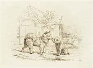 Illustration de "Cinquante fables pour enfants" de Hey