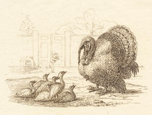 Illustration de "Halvhundrede Fabler for Børn" de Hey