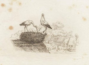 Illustration pour "Cinquante fables pour enfants" de Hey