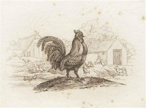Illustration de "Cinquante fables pour enfants" de Hey