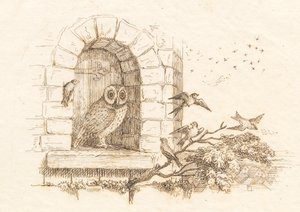 Illustration pour "Cinquante fables pour enfants" de Hey - Martinus Rørbye