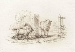 Illustration pour « Cinquante fables pour enfants » de Hey