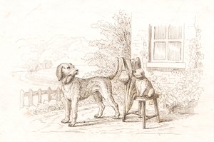 Illustration pour "Cinquante fables pour enfants" de Hey