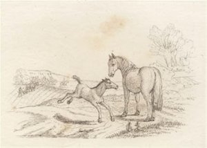 Illustration de "Halvhundrede Fabler for Børn" par Hey