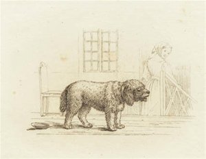 Illustration pour "Cinquante fables pour enfants" de Hey