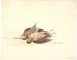 Deux bécassines mortes