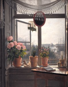 Vue de la Fenêtre de l