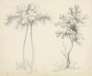 Études d