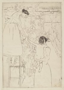 Récolte de fruits, vers 1893