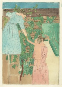 Récolte de fruits, vers 1893 - Mary Cassatt