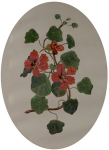 Capucines, vers 1870