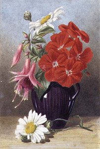 Géraniums et Fuchsias dans un Pichet Violet Émaillé