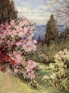 Jardins écossais : Stonefield - Mary Georgina Wade Wilson