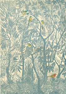 Observation des oiseaux depuis la fenêtre de la cuisine : rouge-gorge, 2012