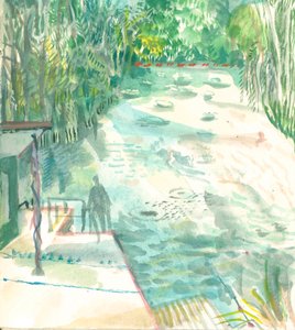 Étang des dames, Hampstead Heath