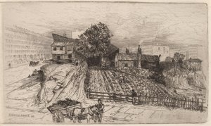 Une ferme urbaine—New York - Mary Nimmo Moran