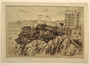 Les habitants des falaises de New York - Mary Nimmo Moran