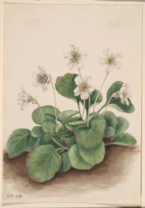 Cloches d