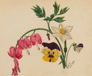 Sans titre - Fleurs mélangées, 1876 - Mary Vaux Walcott