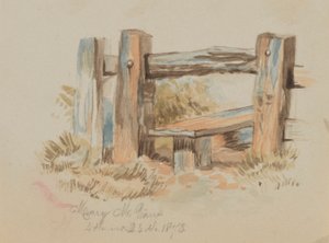 Sans titre (Stile) - Mary Vaux Walcott