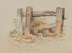 Sans titre, 1873 - Mary Vaux Walcott