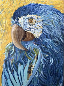Ara bleu vif - Maryna Kovalchuk