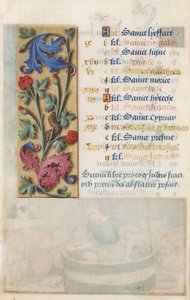 MS Lewis EM 11:22v Panneau de fleurs avec acanthe, rose et chenille, des Heures de Louis XII, 1498-99