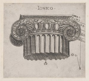 Speculum Romanae Magnificentiae : Chapiteau ionique, vers 1537