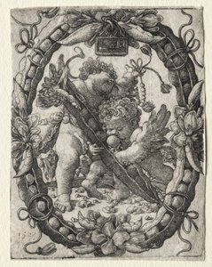 La cosse de pois