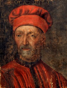 Portrait de Luca Pitti - Master of Florence