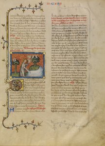 La création des oiseaux et des poissons - Master of Jean de Mandeville
