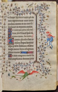 Heures de Charles le Noble, roi de Navarre (1361-1425) : fol. 31r, Texte - Master of the Brussels Initials and Associates