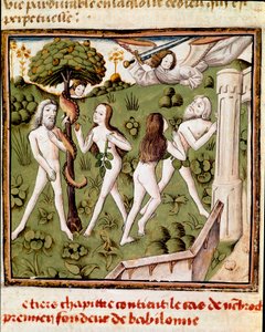 Adam et Ève cueillant le fruit défendu. Miniature du Maître du Champion des Dames (15ème siècle) tirée du manuscrit "Des hommes illustres" de Giovanni Boccaccio (Jean Boccaccio) (1313-1375). 15ème siècle. Carpentras. Bibliothèque Inguimbertine - Master of the Champion des Dames