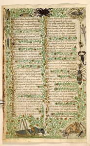 Fleurs, fruits et insectes, y compris un scorpion et un lézard. Traité sur les Vertus et les Vices, et une histoire anonyme en prose de la Sicile (fragment)