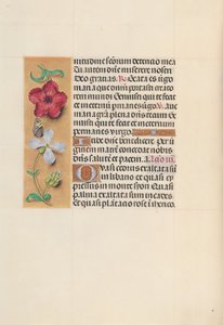 Heures de la reine Isabelle la Catholique, reine d