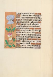 Heures de la reine Isabelle la Catholique, reine d