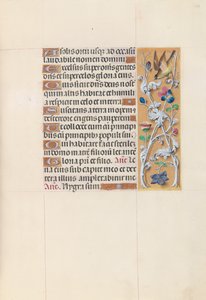 Heures de la reine Isabelle la Catholique, reine d