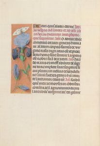Heures de la reine Isabelle la Catholique, reine d