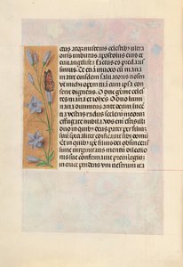 Heures de la reine Isabelle la Catholique, reine d