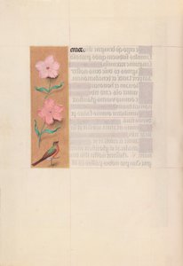 Heures de la reine Isabelle la Catholique, reine d